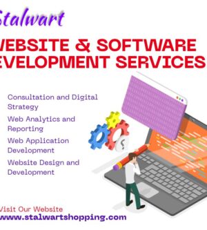 e commerce (online store)